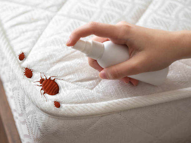 Best Residential Pest Control  in Olivet, NJ